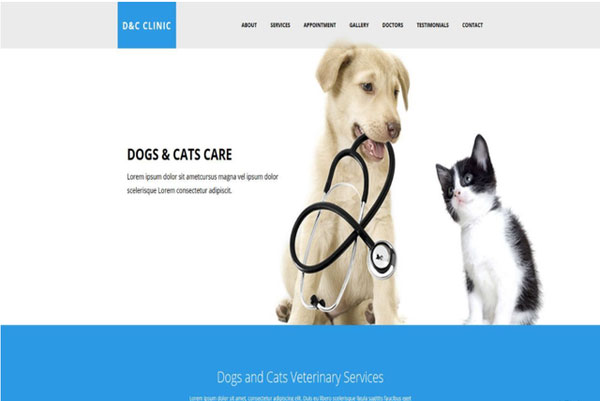 網(wǎng)站建設(shè)